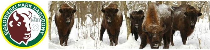 Muzeum Przyrodniczo-Leśne BPN w Białowieży